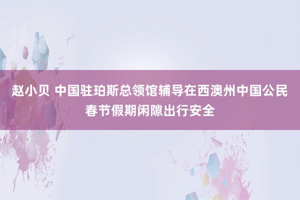 赵小贝 中国驻珀斯总领馆辅导在西澳州中国公民春节假期闲隙出行安全