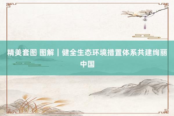 精美套图 图解｜健全生态环境措置体系共建绚丽中国