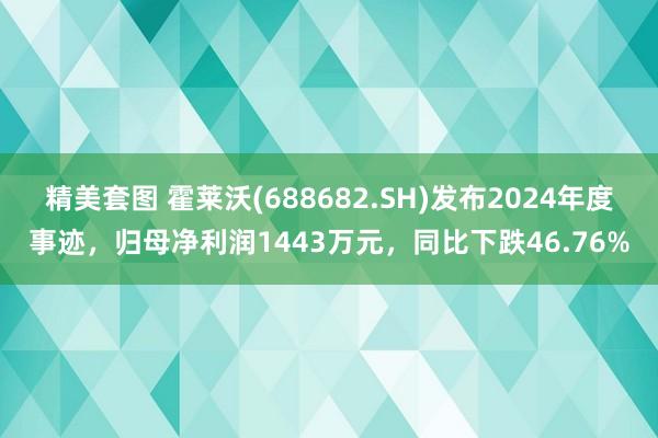 精美套图 霍莱沃(688682.SH)发布2024年度事迹，归母净利润1443万元，同比下跌46.76%